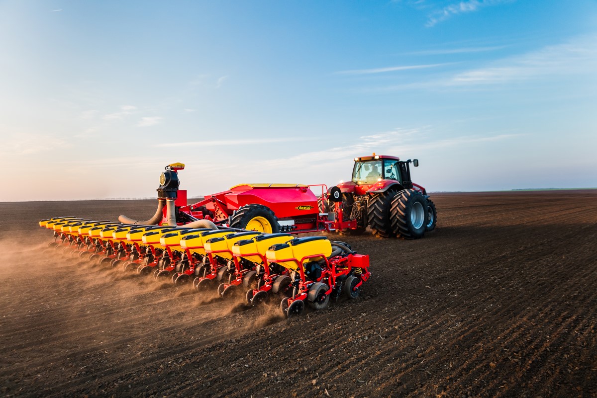 Tempo L in field