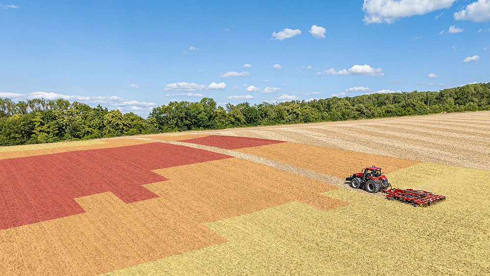 TopDown on a field of different colours