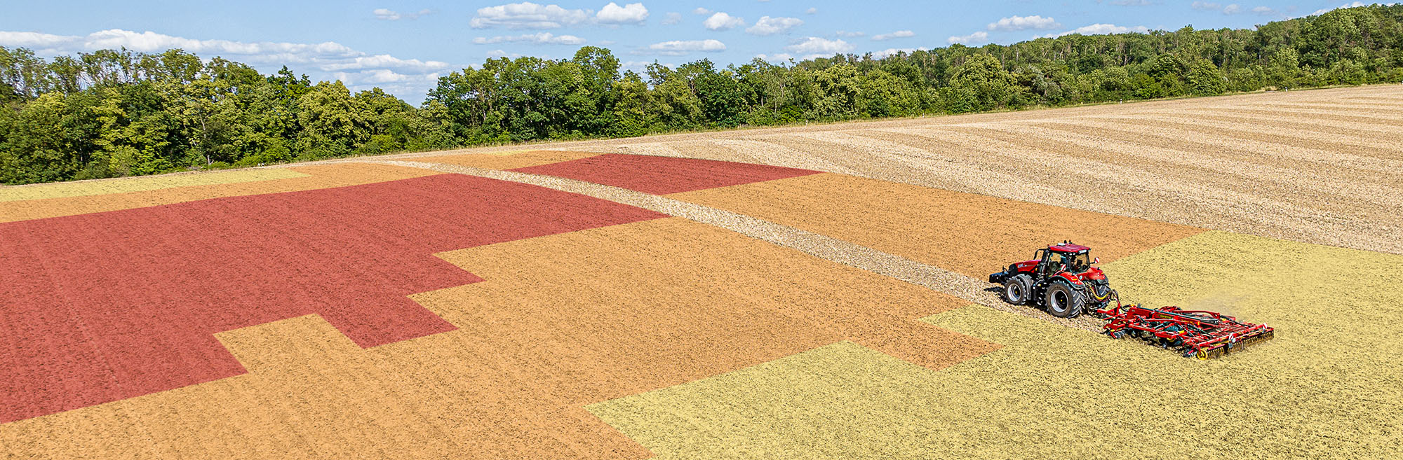 TopDown on a field of different colours