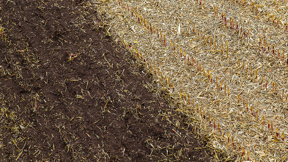 Residue in a field