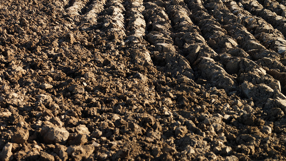 Reconciled soil in a field