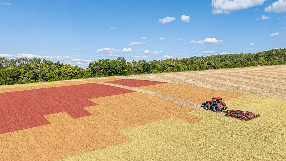Field segmented into various colored sections