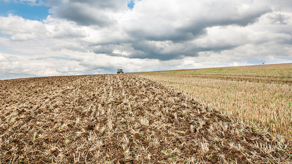 Field partly tilled