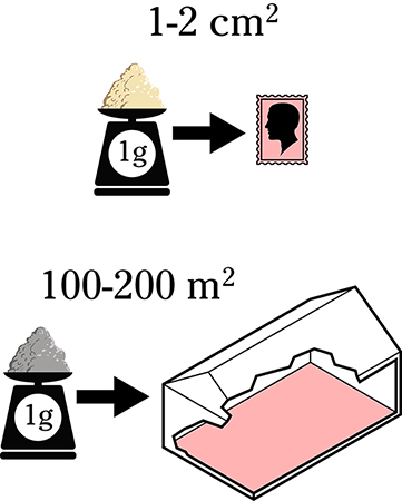 Soil basics particle size characteristics