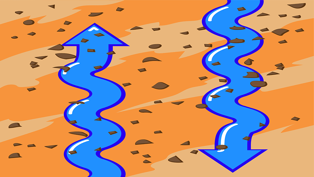 Soil basics soil types sand and silt