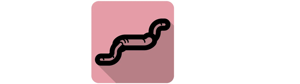 Earthworms importance for clay soil structure