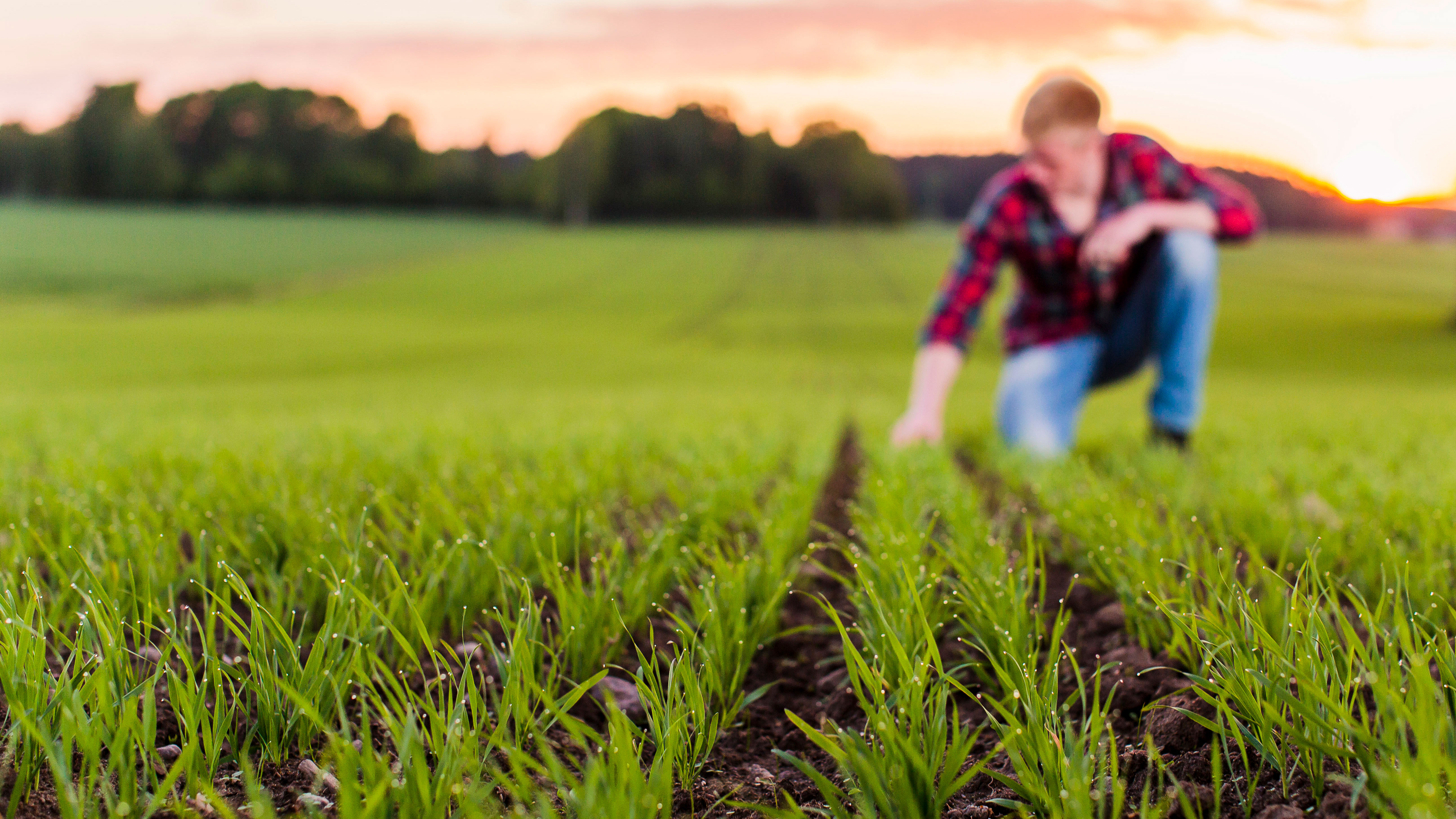 Man sitting in a green field. 