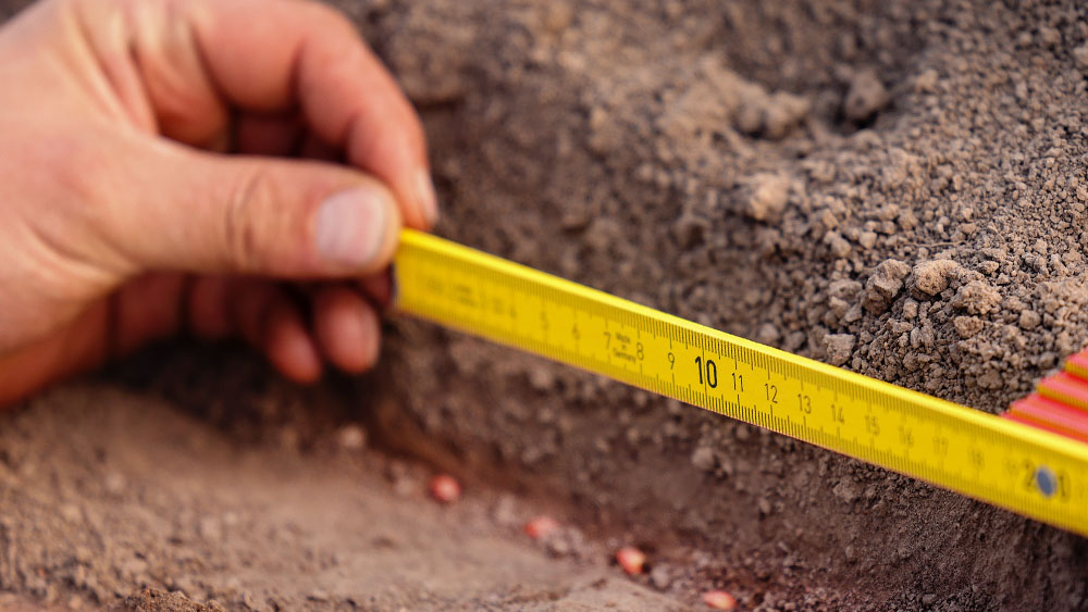 Measuring stick that measures the distance between seeds in a furrow