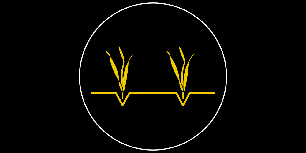 Optimised no-till crop establishment