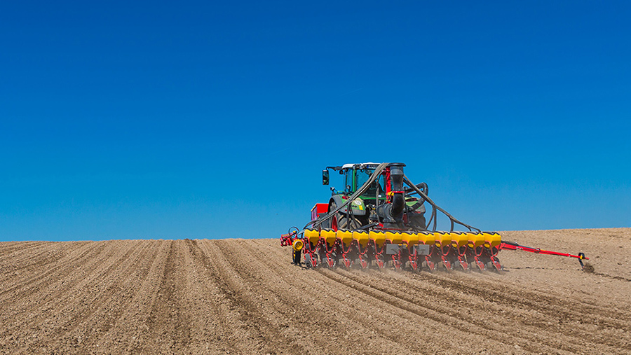 Tempo in field