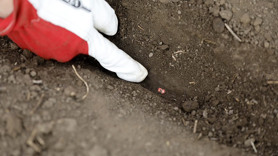 Optimal seed to soil contact