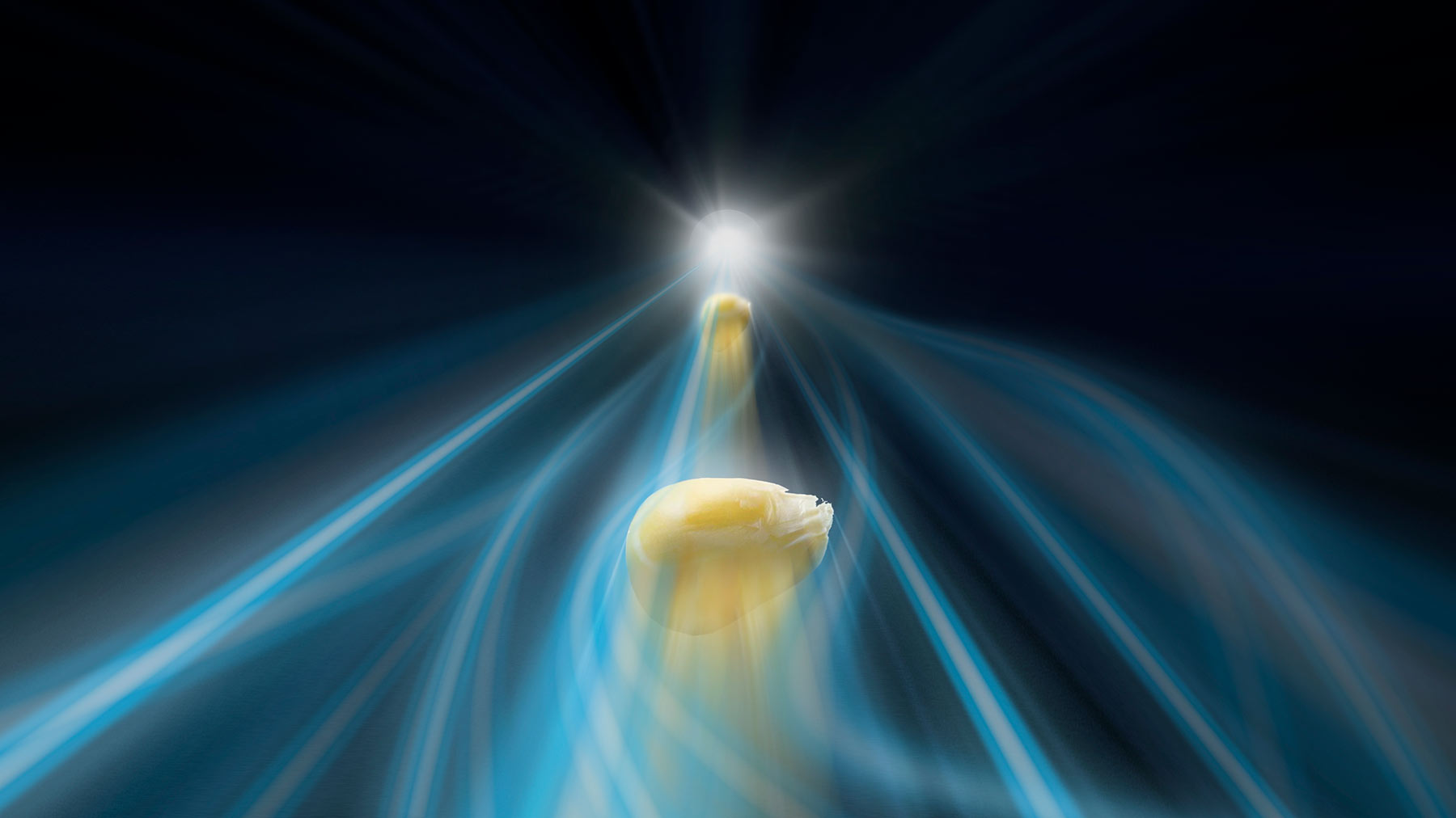 Seed in tube
