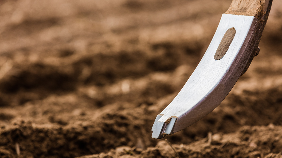 Marathon Scharspitzen