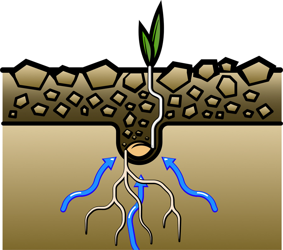 Väderstad Rapid Seed drills - The perfect start illustration