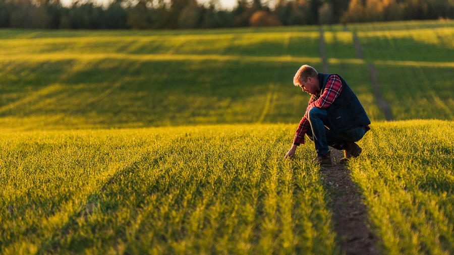 Väderstad seed drill Spirit impressive seed placement