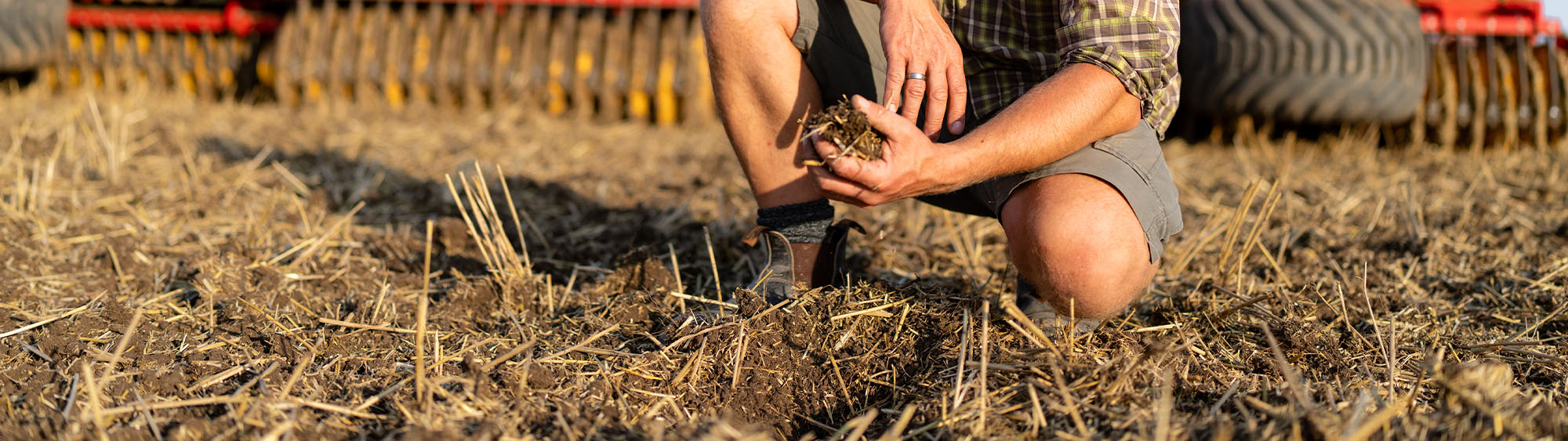 Hand in soil, examining the incorporation of residues.
