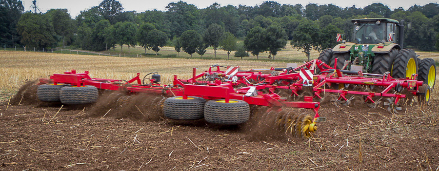 Cultus and Rollex together in field for optimal reconsolidation